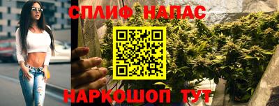 дурь Будённовск