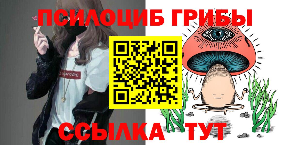 Курчатов  Псилоцибиновые грибы Psilocybe  Вход с VPN  Галлюциногенные грибы MAGIC MUSHROOMS 