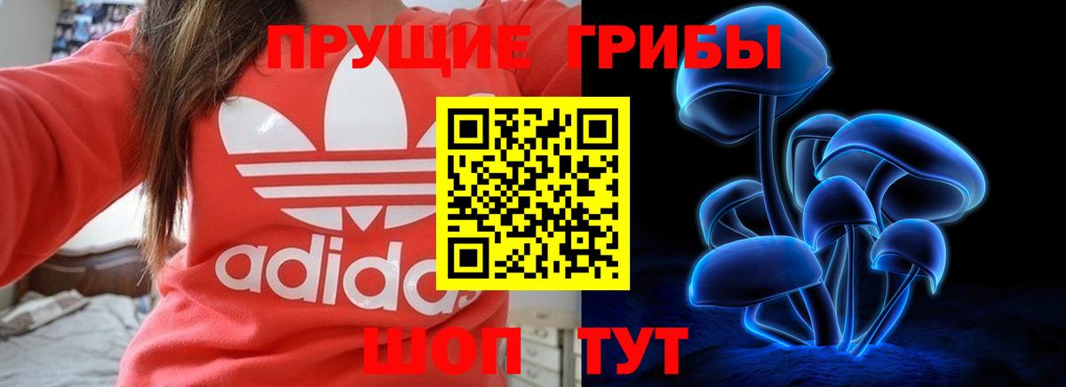 Псилоцибиновые грибы MAGIC MUSHROOMS Курчатов
